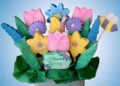 Thinking of You Cookie Bouquet: Flowers, butterfly, and bee.